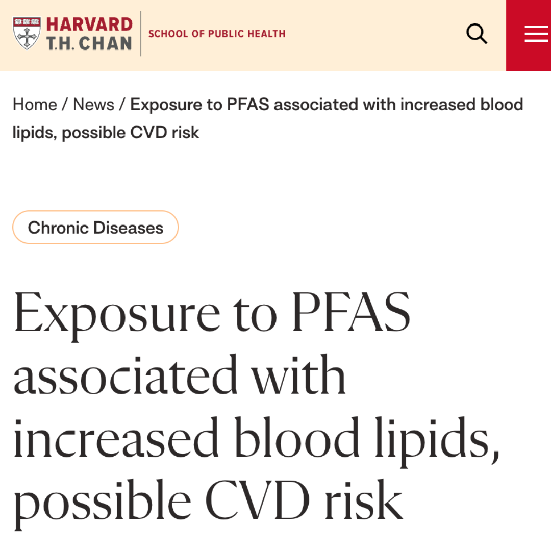 Titanium Hammered Pan Pro Mini