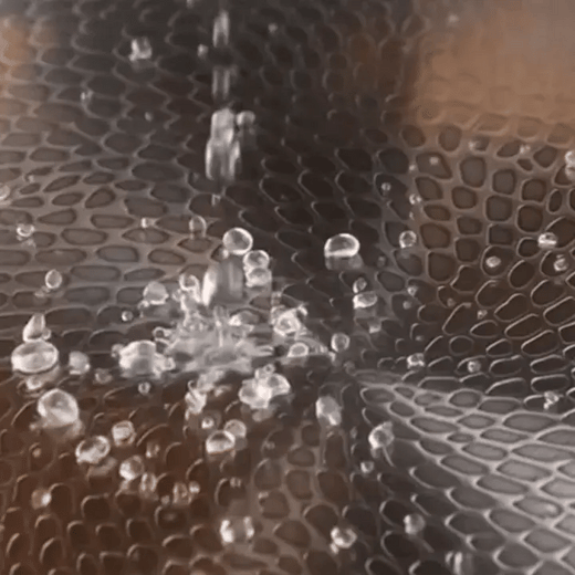 Water dancing on pan